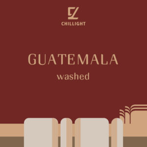 瓜地馬拉 薇薇特南果 中焙 水洗