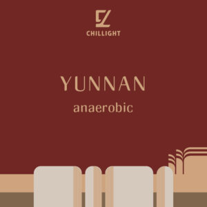 「掛耳」*銷售冠軍*雲南神魚 中淺焙 雙重厭氧日曬