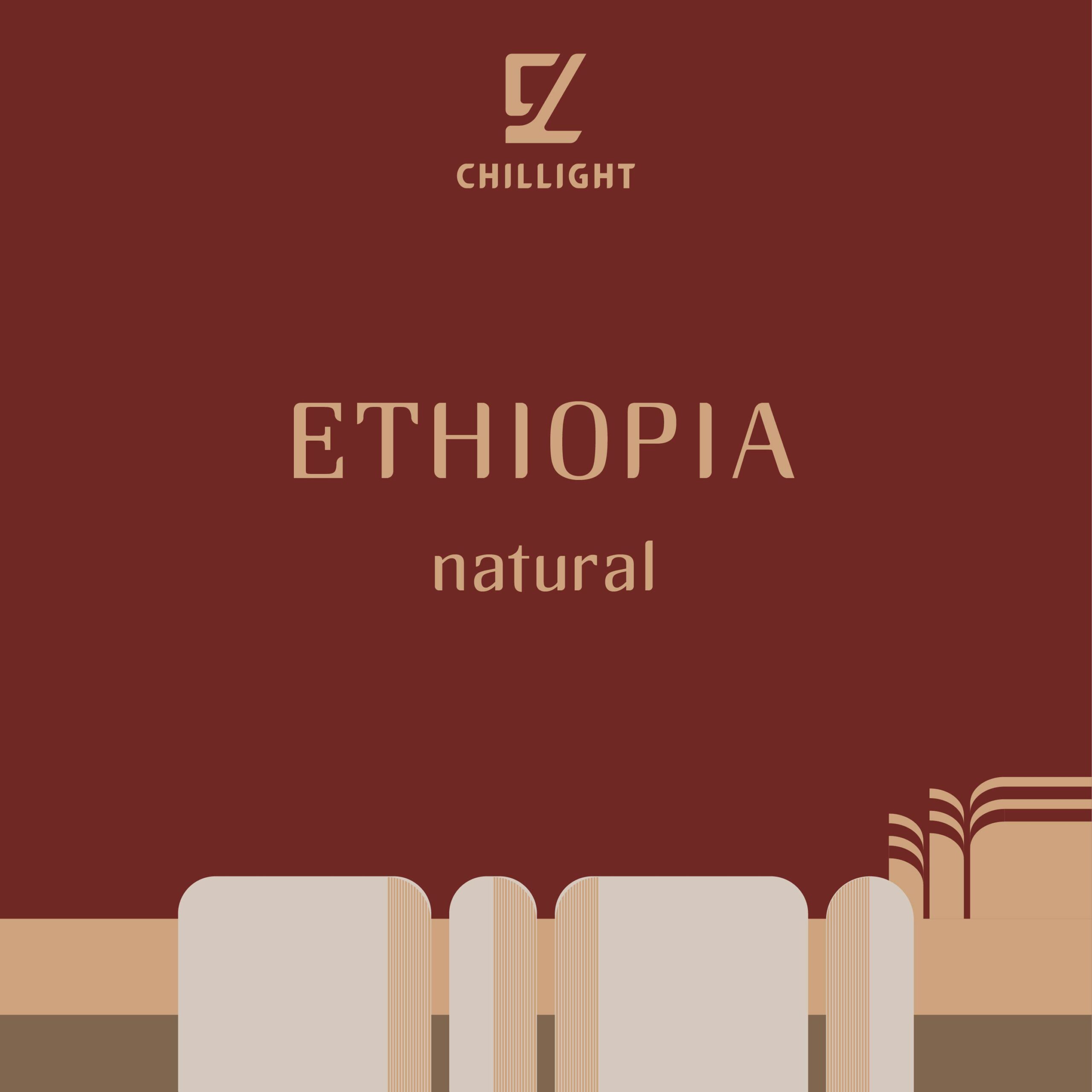 衣索比亞 桃可可 淺焙 日曬