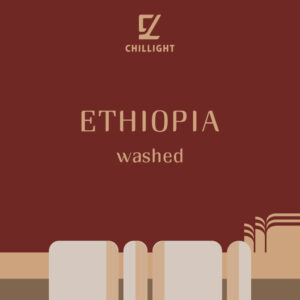 衣索比亞 耶加 哈洛巴 淺焙 水洗